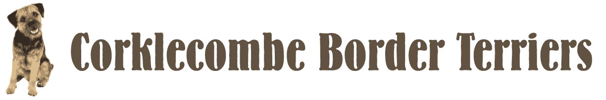 Corklecombe Border Terriers