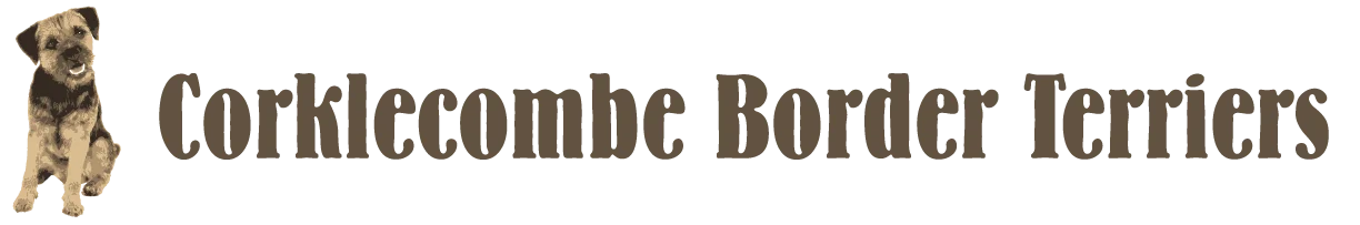 Corklecombe Border Terriers
