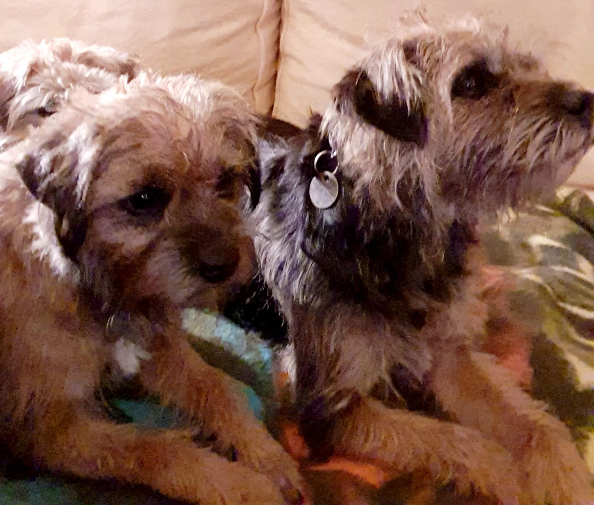 Ella & Cassie01
